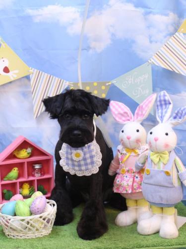 20240310レアくん